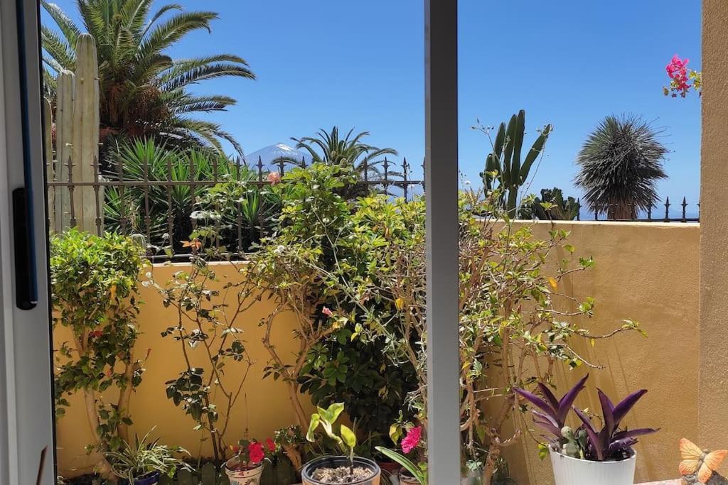 דירות סאוסאל Casa El Sentir מראה חיצוני תמונה
